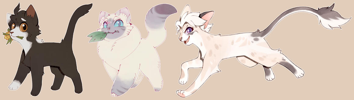 Magpie, Shell, Morning